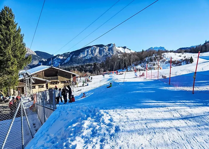 Des Montagnes By Interhome *