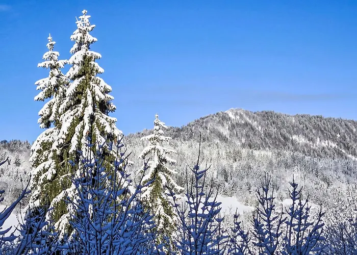 Des Montagnes By Interhome